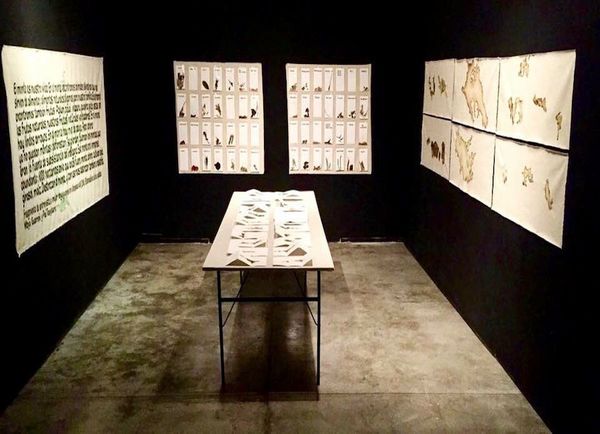 Marcos Benítez exhibe “Pohã ñana” en Cuba
