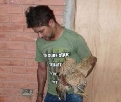 Detienen a hombre de 25 años por violar a una indefensa gallina en Villa Hayes. - Churero.com