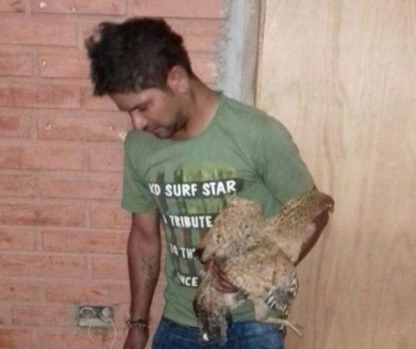 Detienen a hombre de 25 años por violar a una indefensa gallina en Villa Hayes. - Churero.com