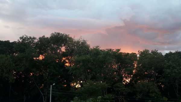 Viernes cálido y con lluvias – Prensa 5