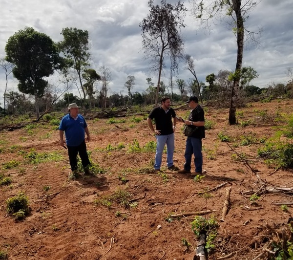 Dos procedimientos de la fiscalía ambiental en Yby Ya´u