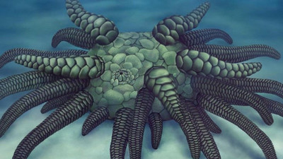 Descubren a Cthulh marino en Reino Unido - ADN Paraguayo