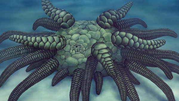 Descubren a Cthulh marino en Reino Unido - ADN Paraguayo