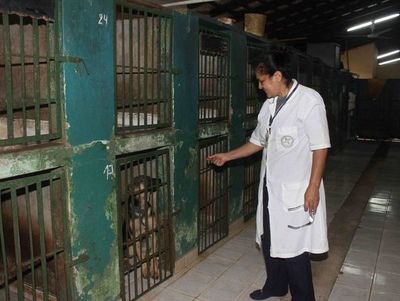 Salud registran 2 casos de leishmaniasis humana