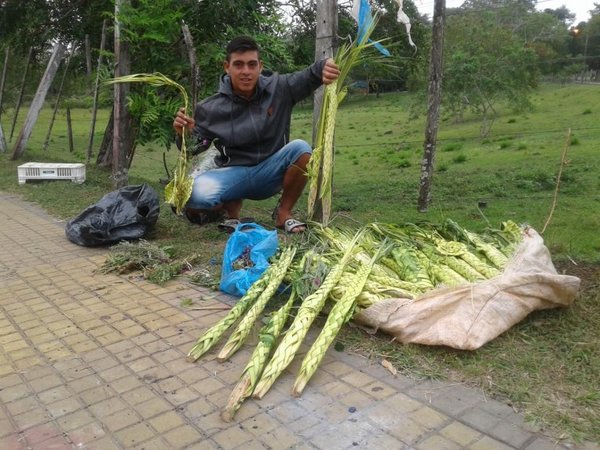 Vendedores de palmas se instalaron en Ayolas | Paraguay en Noticias