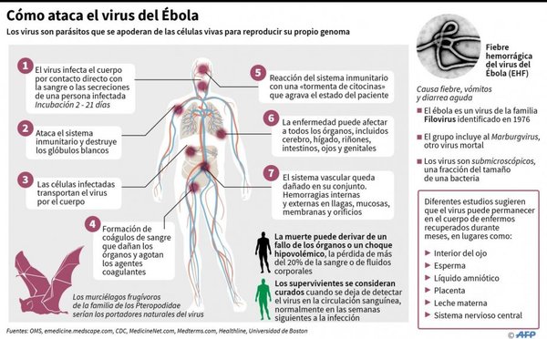Suben casos de ébola pero aún sin emergencia - Edicion Impresa - ABC Color