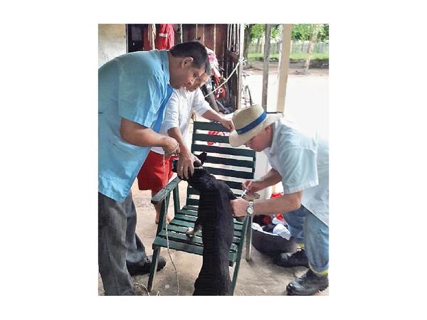 Anciano y bebé padecen de leishmaniasis en el Norte