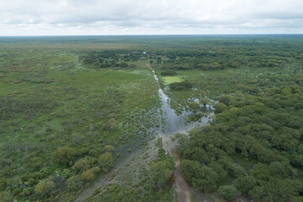 Niño indígena murió en el Chaco por falta de asistencia
