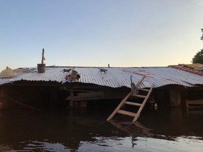 Voluntarios rescatarán a mascotas abandonadas en inundaciones