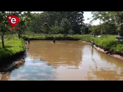 PISCICULTORES DE ALBORADA PIDEN LÍNEA TRIFÁSICA PARA CENTRO DE ACOPIO