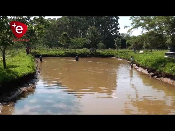 PISCICULTORES DE ALBORADA PIDEN LÍNEA TRIFÁSICA PARA CENTRO DE ACOPIO
