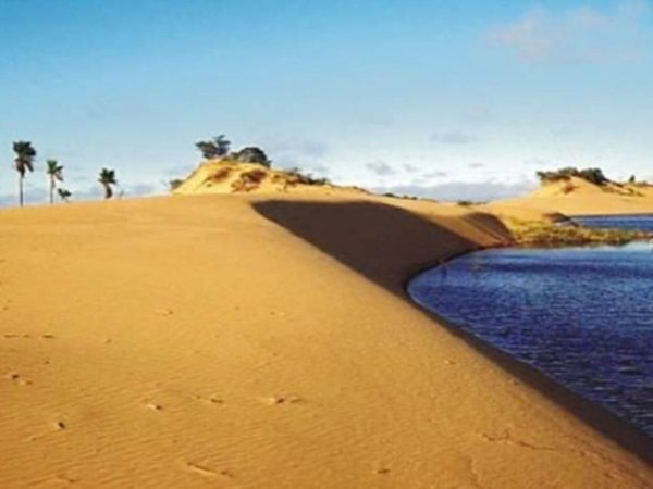 Lanzan campaña para salvar a las dunas de San Cosme y Damián