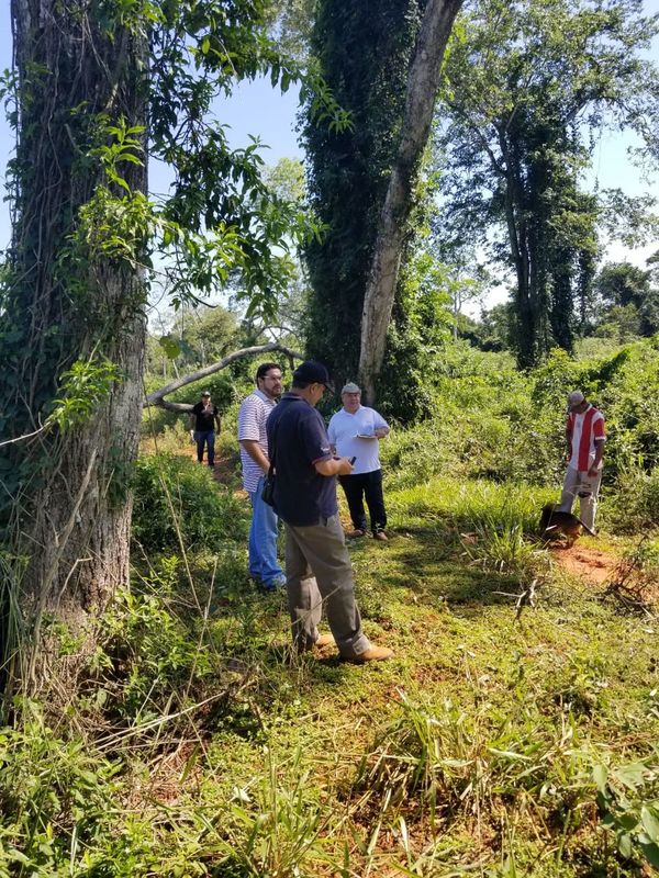 Constatan supuesta deforestación en Concepción | Paraguay en Noticias