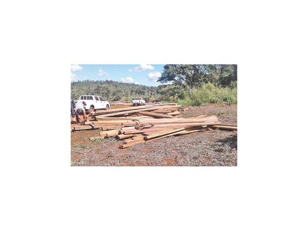 Mades constata tremenda deforestación en San Rafael