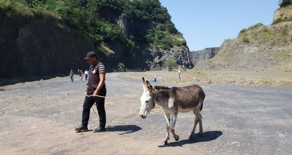 Ñemby espera la mayor concurrencia este domingo - ADN Paraguayo