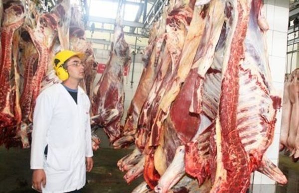 Ganaderos urgen creación del instituto de la carne para llegar a más mercados » Ñanduti
