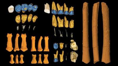 Descubren una nueva especie humana en una isla de Filipinas - ADN Paraguayo
