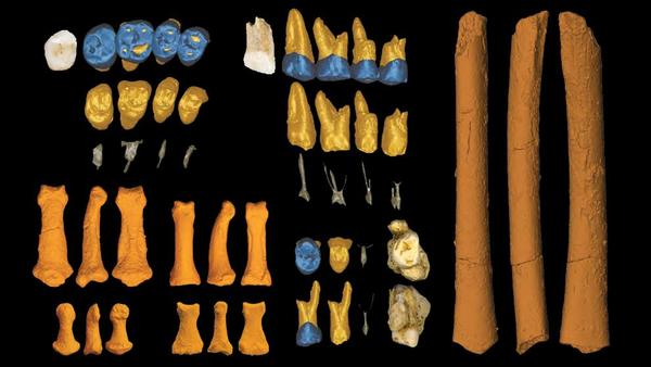 Descubren una nueva especie humana en una isla de Filipinas - ADN Paraguayo
