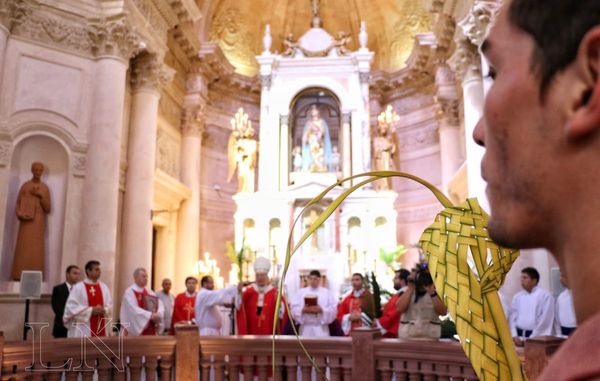 Palmas en el microcentro de Asunción | Paraguay en Noticias