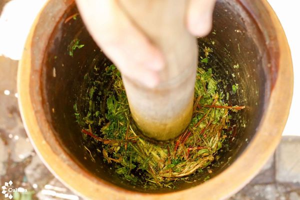 El Terere y Poha Ñana, declarados Patrimonio Nacional Cultural