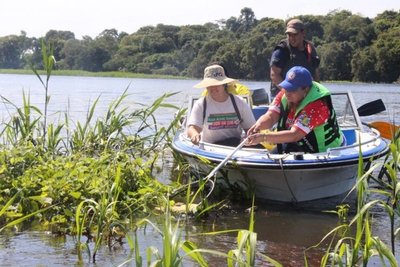 Destacan iniciativa de municipios para el retiro de peces muertos del río - ADN Paraguayo