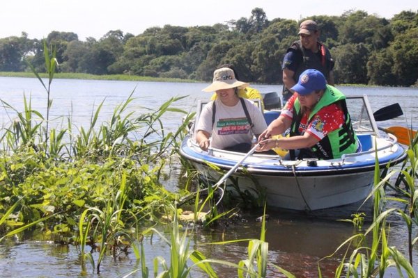Destacan iniciativa de municipios para el retiro de peces muertos del río - ADN Paraguayo