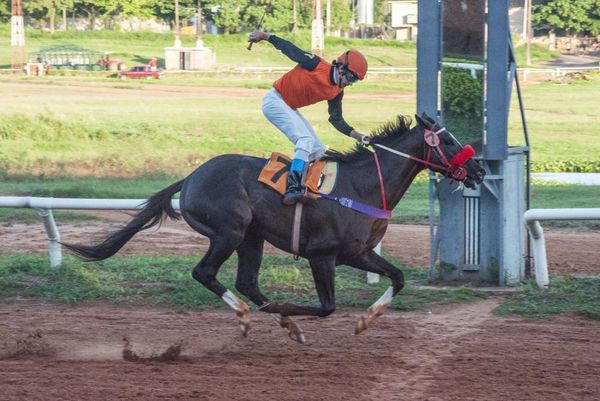 Se corre la fecha 9 del turf con dos especiales