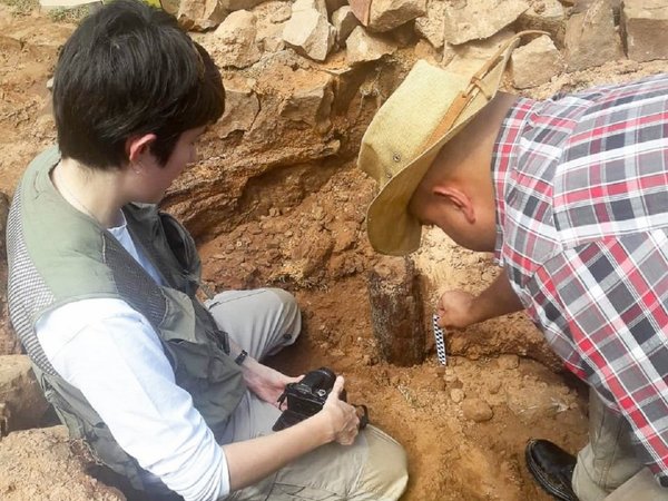 Restos de un horcón podrían develar misterios de la Triple Alianza