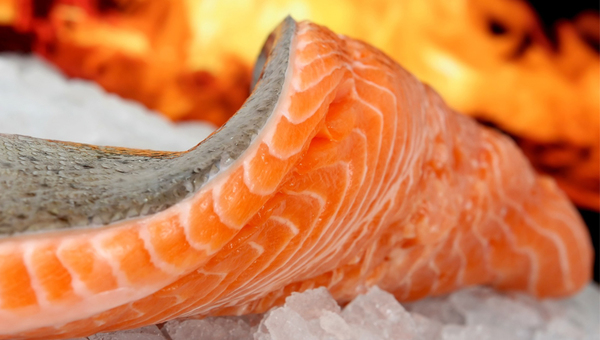 ¿Cómo afecta la mortandad de peces al gremio gastronómico?