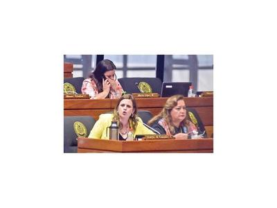 Hoy oficializan el pedido de nulidad de la sesión extra