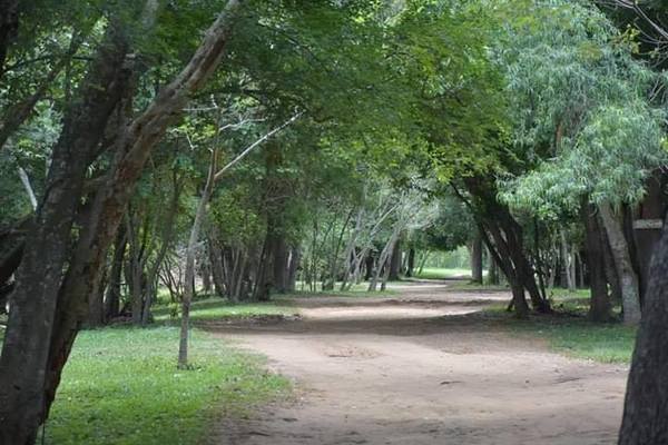 Lunes caluroso para el sur del país - Digital Misiones