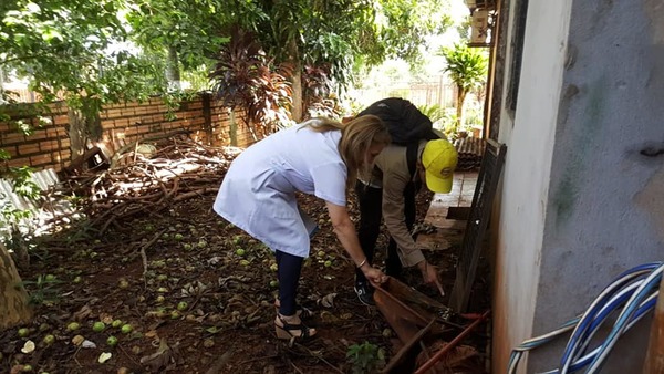 DESESPERANTE: Suman 1.352 casos de dengue en Alto Paraná