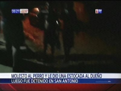 Un perro le mordió y, enojado, le aplicó una estocada al dueño