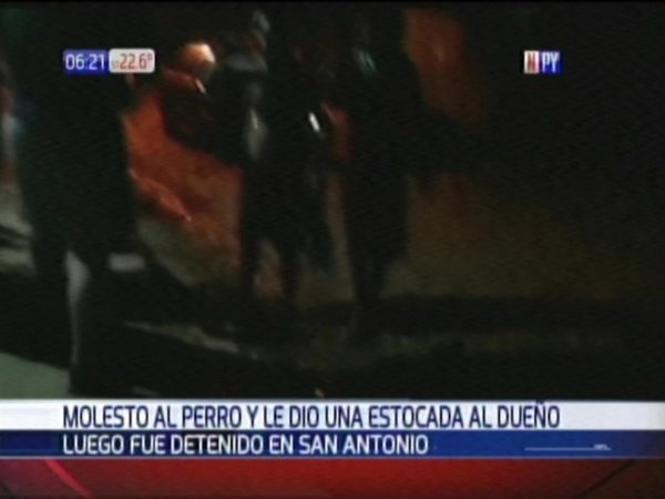 Un perro le mordió y, enojado, le aplicó una estocada al dueño