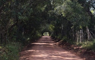 Semana Santa: No olvides de visitar el túnel verde de San Patricio - Digital Misiones