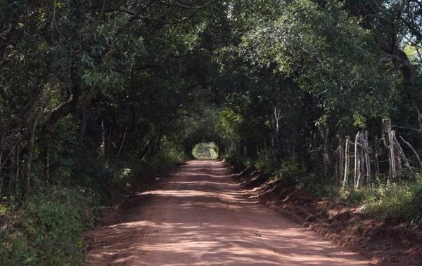 Semana Santa: No olvides de visitar el túnel verde de San Patricio - Digital Misiones