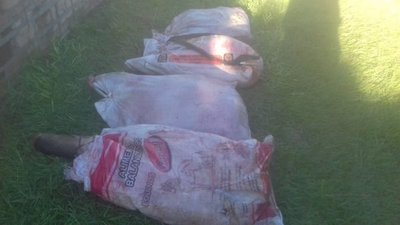 Recuperan carne producto de abigeato - Nacionales - ABC Color