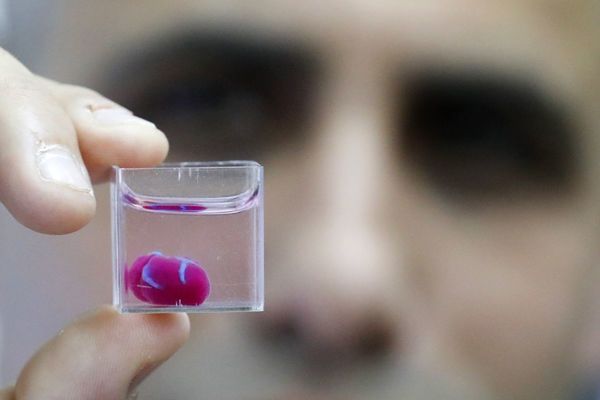 Científicos israelíes imprimen corazón en 3D a partir de tejidos humanos