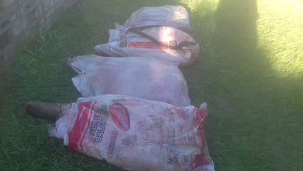 Recuperan carne producto de abigeato | Paraguay en Noticias