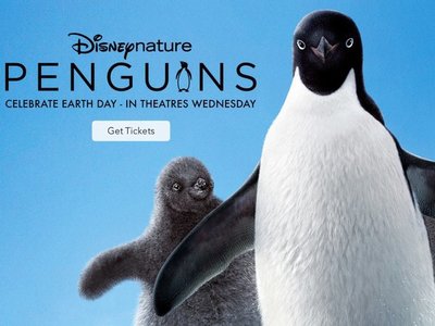 Disneynature celebra sus 10 años con el nuevo documental