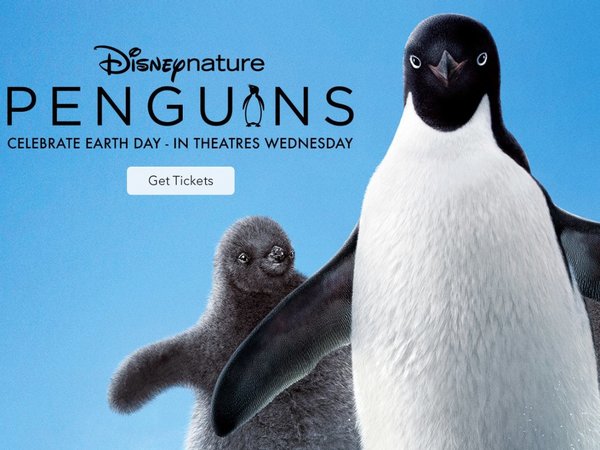 Disneynature celebra sus 10 años con el nuevo documental