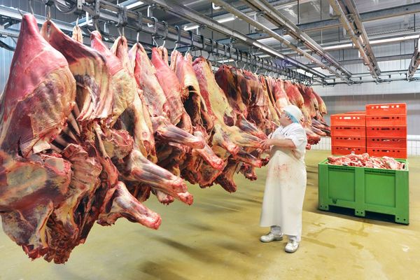 Bajo precio de carne argentina y brasileña razón principal de menor exportación