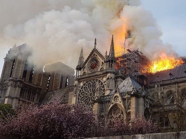 Se incendia catedral de Notre Dame