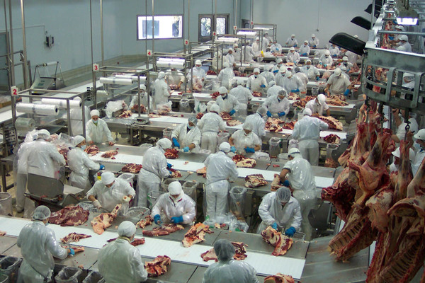 Sostienen que Instituto de la Carne es muy necesario para la ganadería nacional