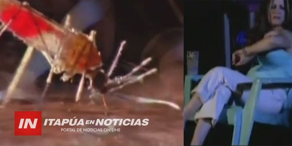 SE MANTIENE LA ALERTA SOBRE APARICIÓN DE VIRUS TRANSMITIDO POR MOSQUITOS