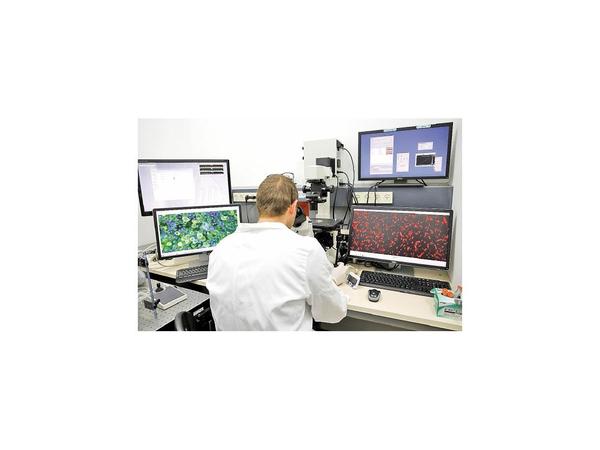 Israelíes imprimen en 3D un corazón con tejidos humanos