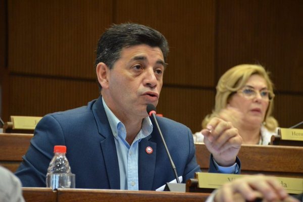 Suplencia de Payo: senador del PLRA habla de “golpe de Estado”