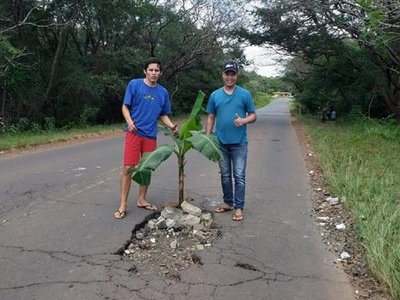 Jóvenes colocan planta de banana en enorme bache