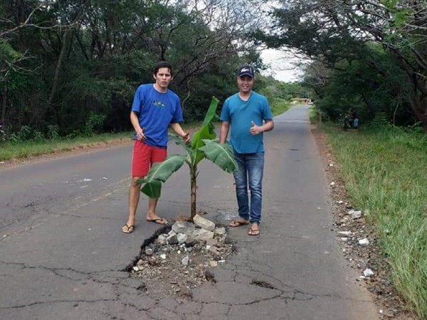 Jóvenes colocan planta de banana en enorme bache
