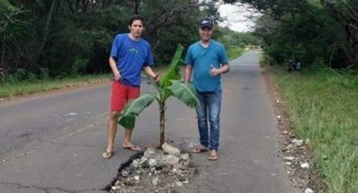 Jóvenes colocan planta de banana en enorme bache - Digital Misiones